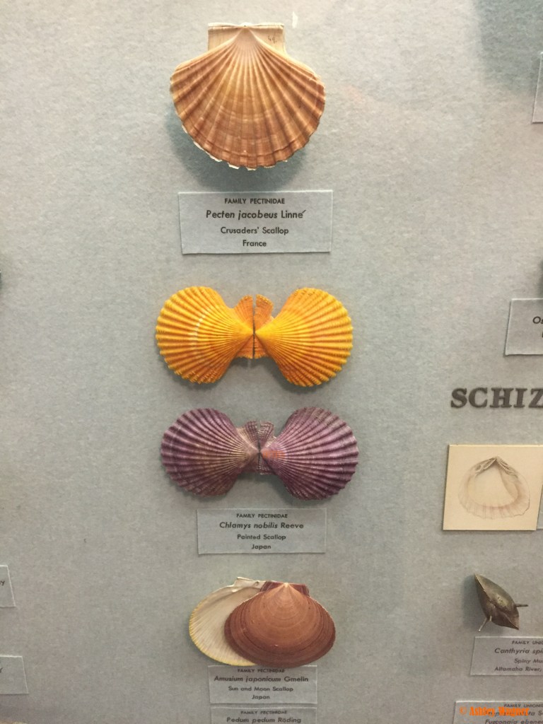 Photo Oct 02, 2 13 08 PM