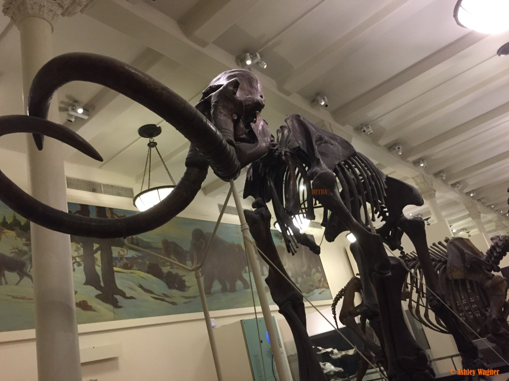 Photo Oct 02, 2 16 43 PM