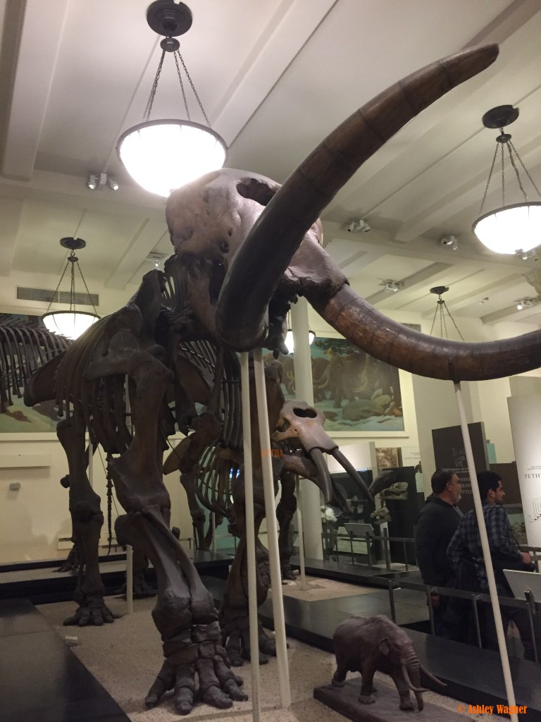 Photo Oct 02, 2 17 02 PM