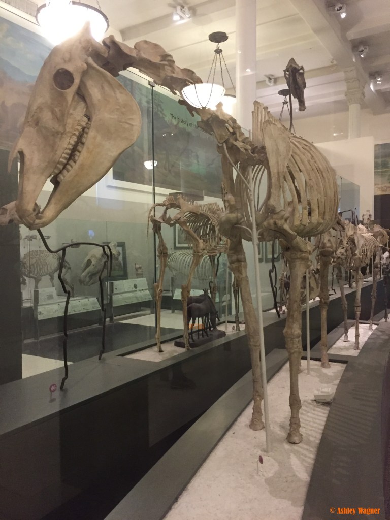 Photo Oct 02, 2 17 52 PM