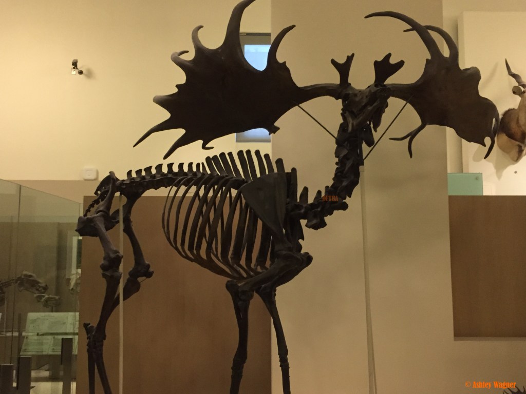 Photo Oct 02, 2 18 02 PM