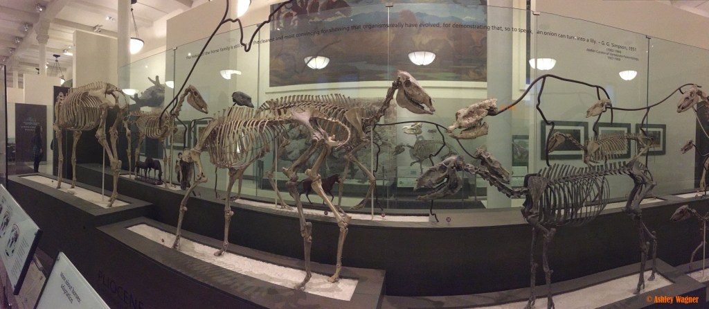 Photo Oct 02, 2 18 35 PM