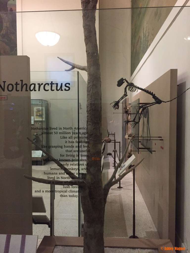 Photo Oct 02, 2 19 08 PM