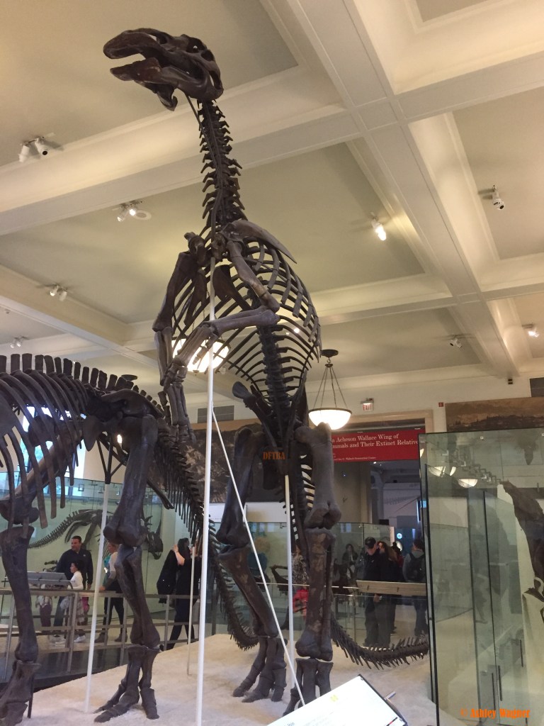 Photo Oct 02, 2 20 38 PM