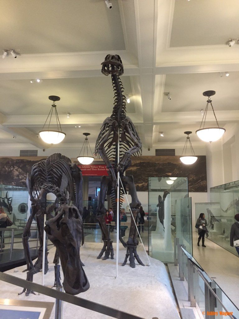 Photo Oct 02, 2 20 57 PM