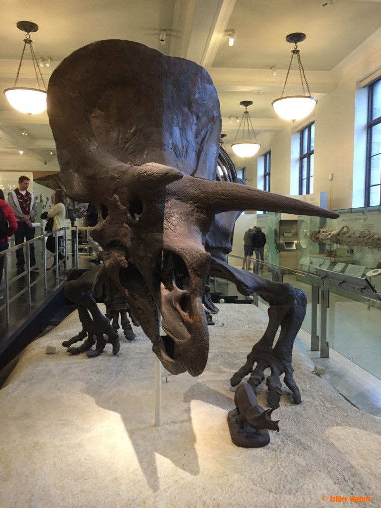 Photo Oct 02, 2 21 42 PM