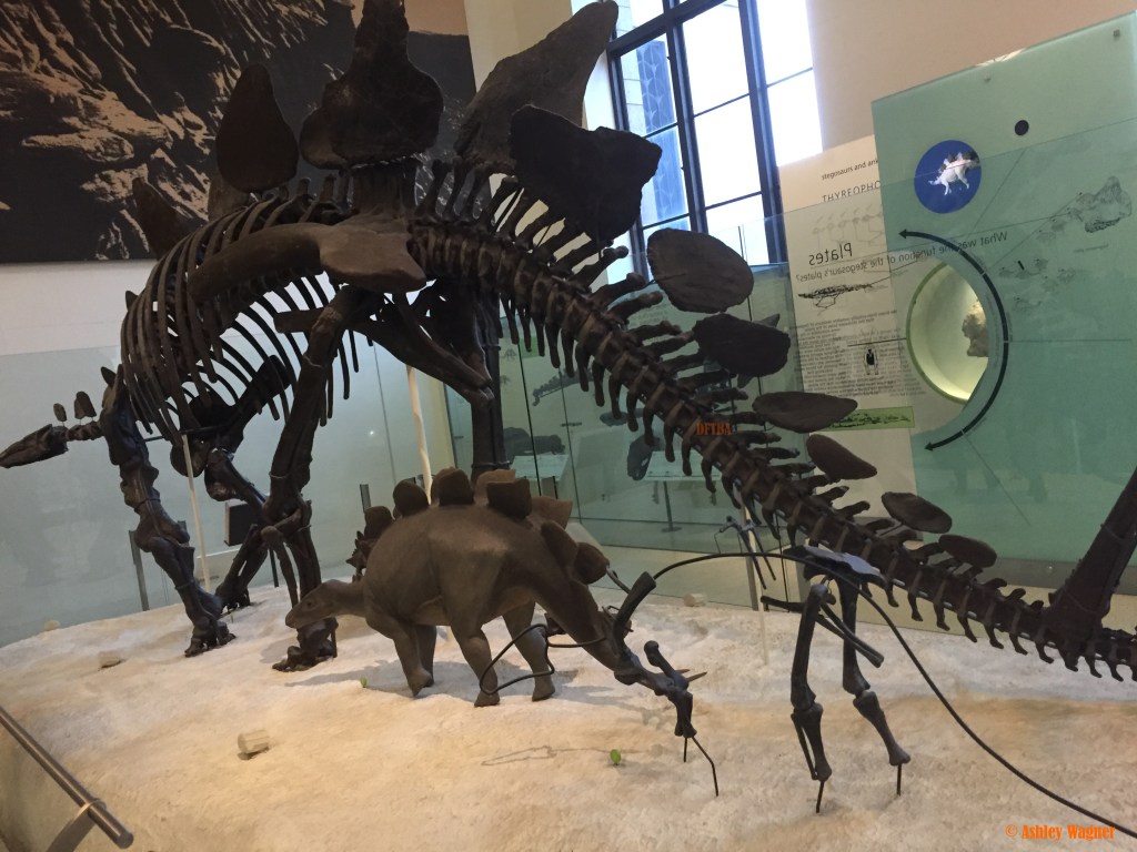 Photo Oct 02, 2 22 29 PM