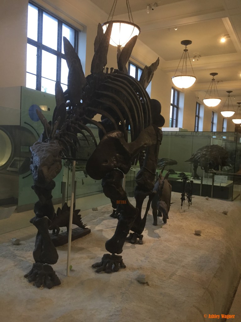 Photo Oct 02, 2 23 00 PM