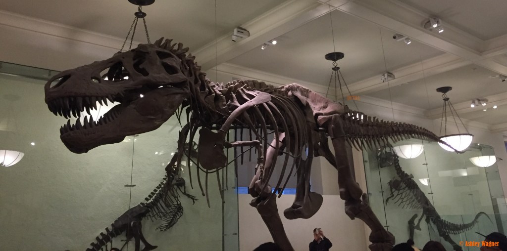 Photo Oct 02, 2 25 13 PM