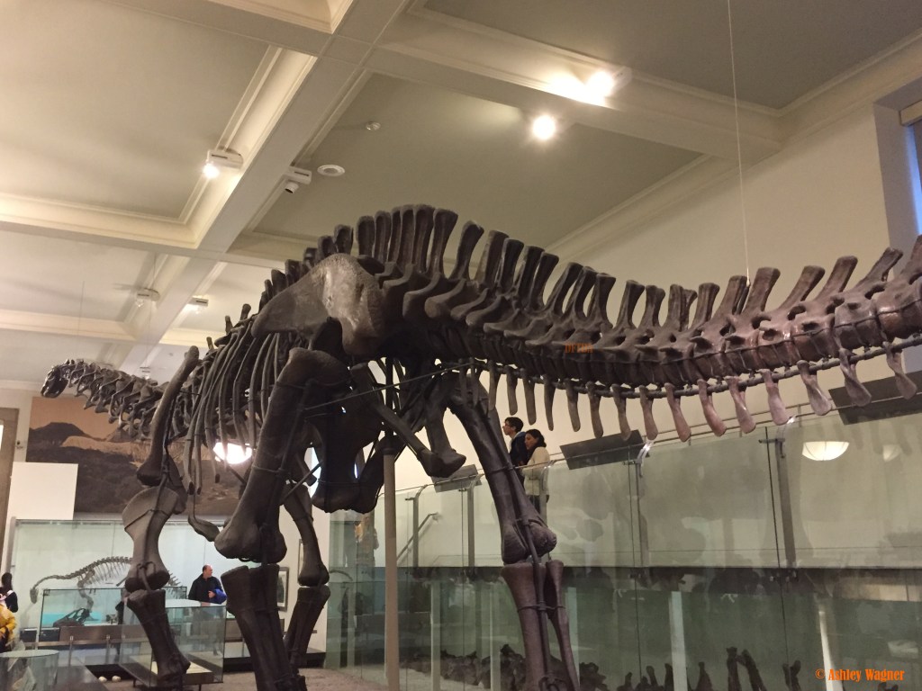 Photo Oct 02, 2 25 37 PM