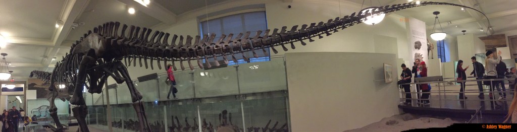 Photo Oct 02, 2 26 56 PM