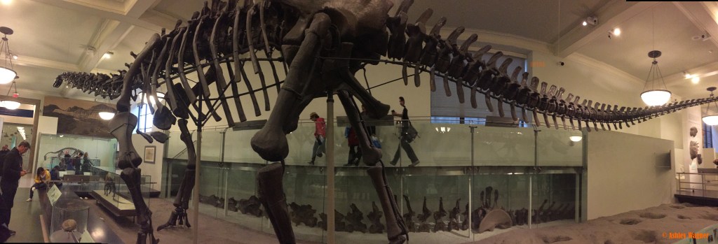 Photo Oct 02, 2 27 11 PM