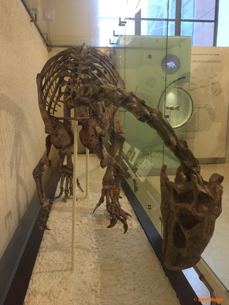 Photo Oct 02, 2 28 38 PM