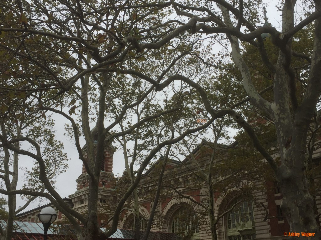 Photo Oct 03, 9 12 15 AM