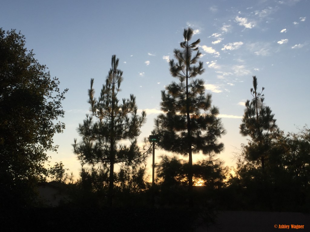 Photo Sep 03, 7 12 PM