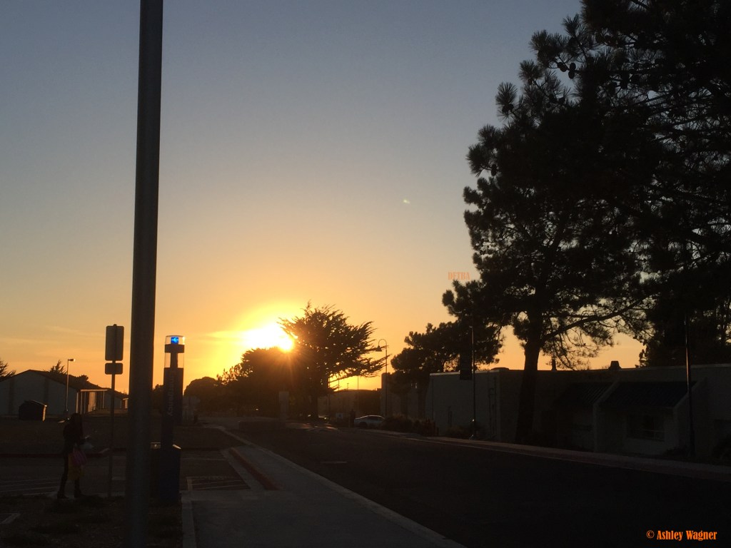 Photo Sep 05, 7 14 25 PM