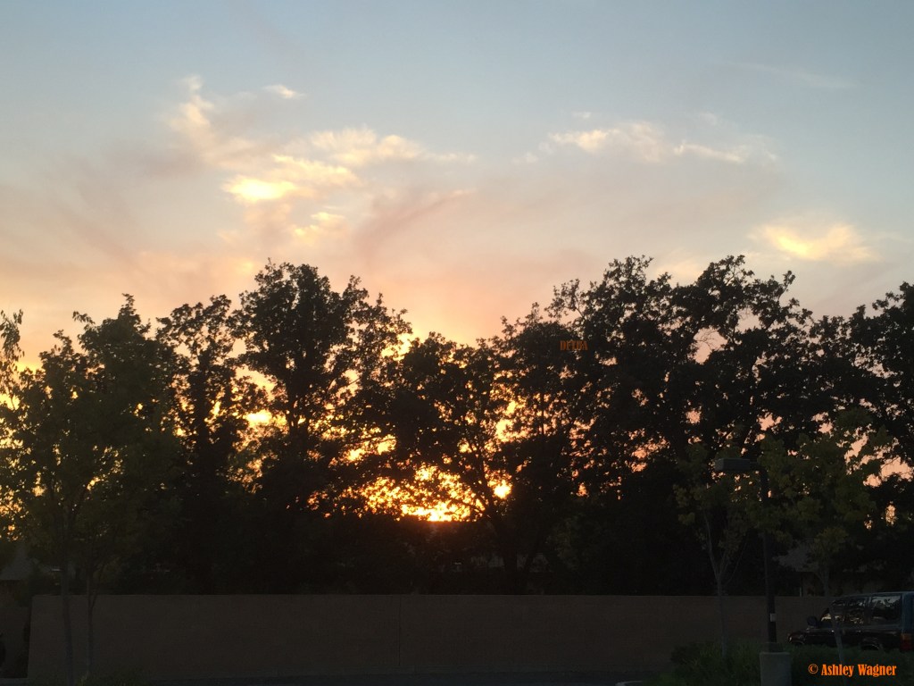 Photo Sep 10, 7 17 58 PM