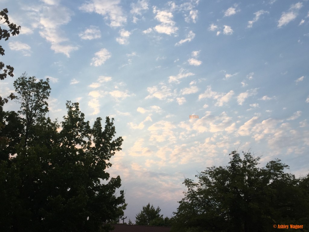 Photo Sep 11, 7 17 26 AM