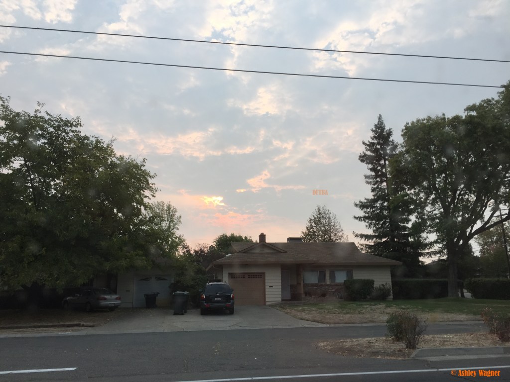 Photo Sep 14, 7 48 24 AM