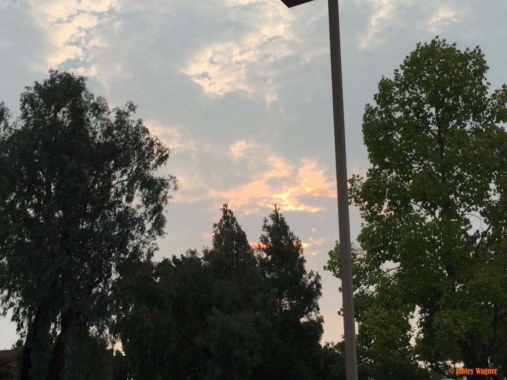 Photo Sep 14, 7 54 56 AM