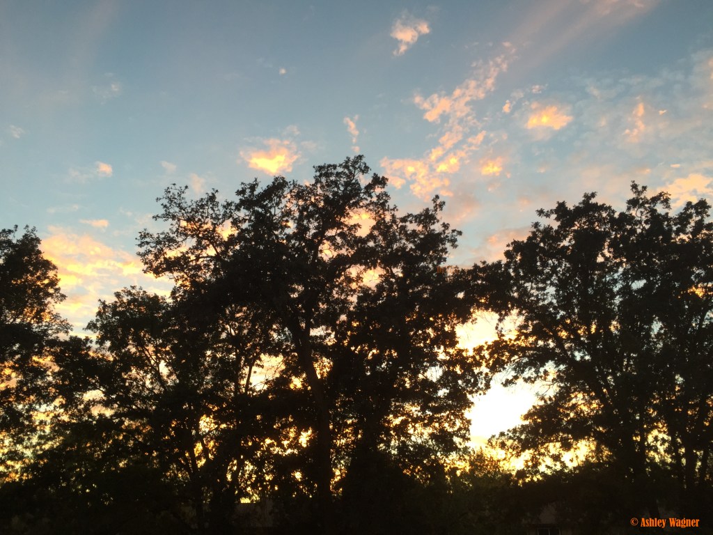 Photo Sep 24, 7 05 46 PM