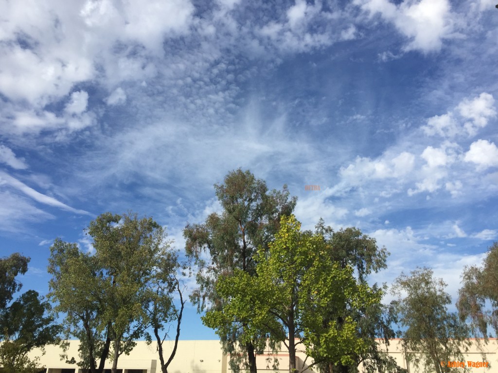 Photo Sep 29, 4 37 14 PM