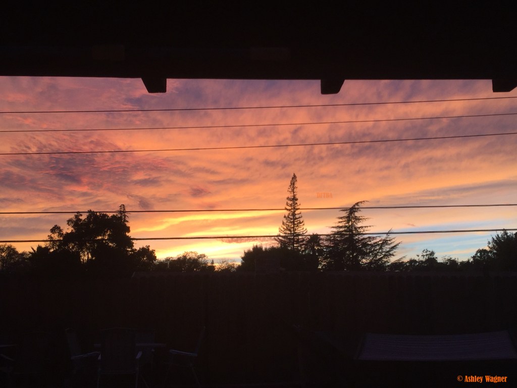 Photo Sep 29, 6 59 21 PM