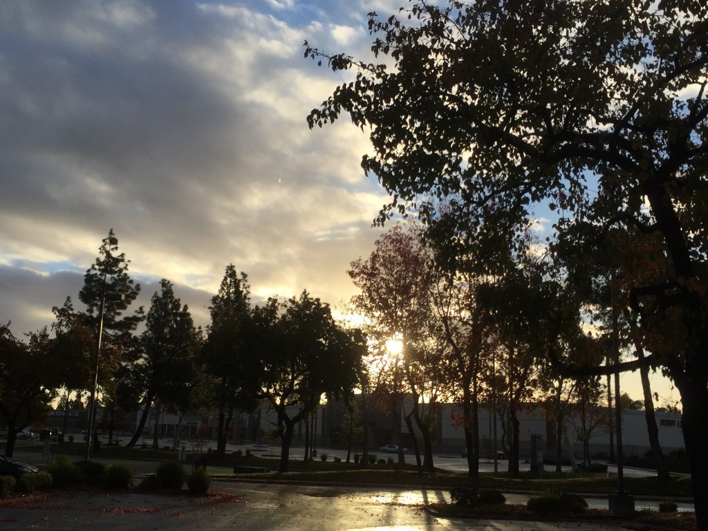 Photo Dec 04, 7 48 12 AM