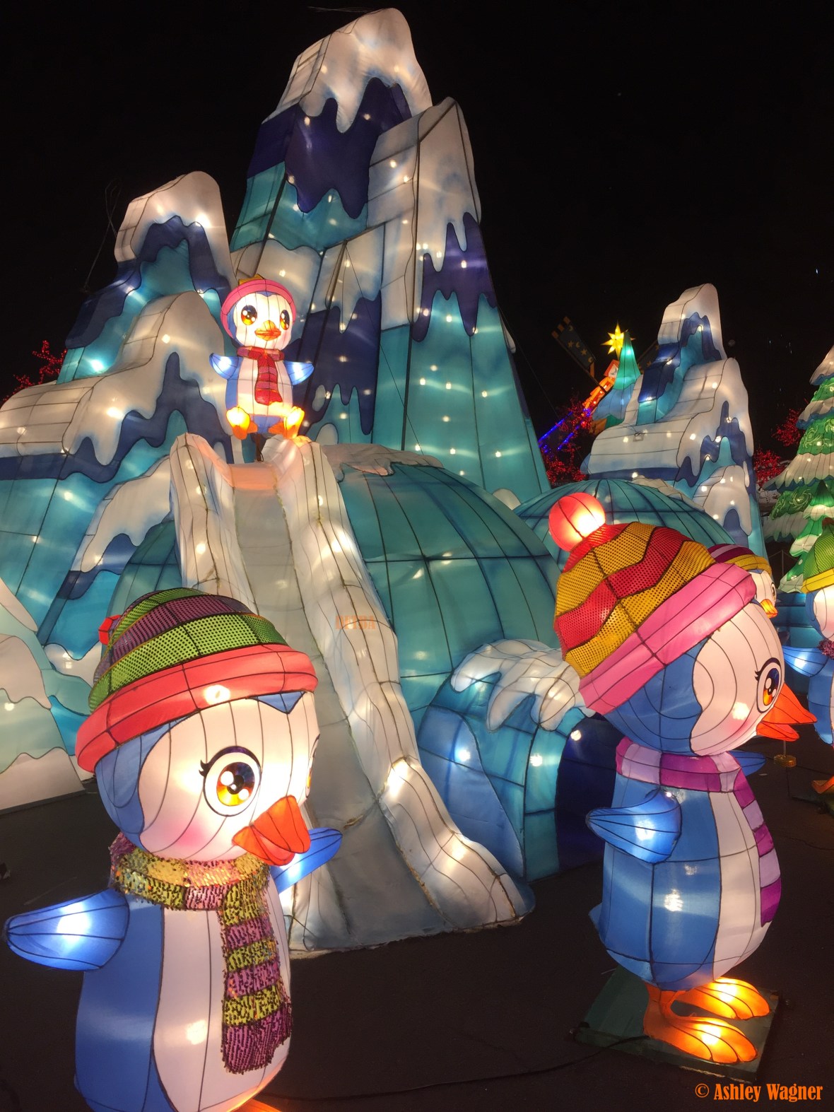 Photo Dec 23, 8 40 31 PM