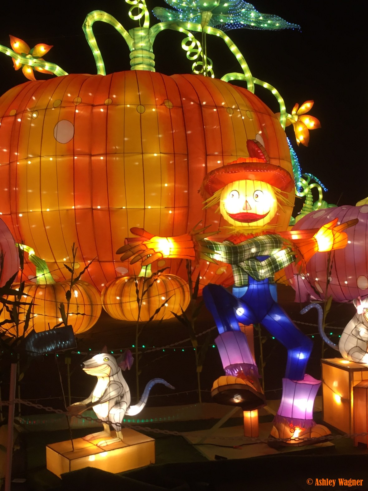 Photo Dec 23, 8 57 23 PM