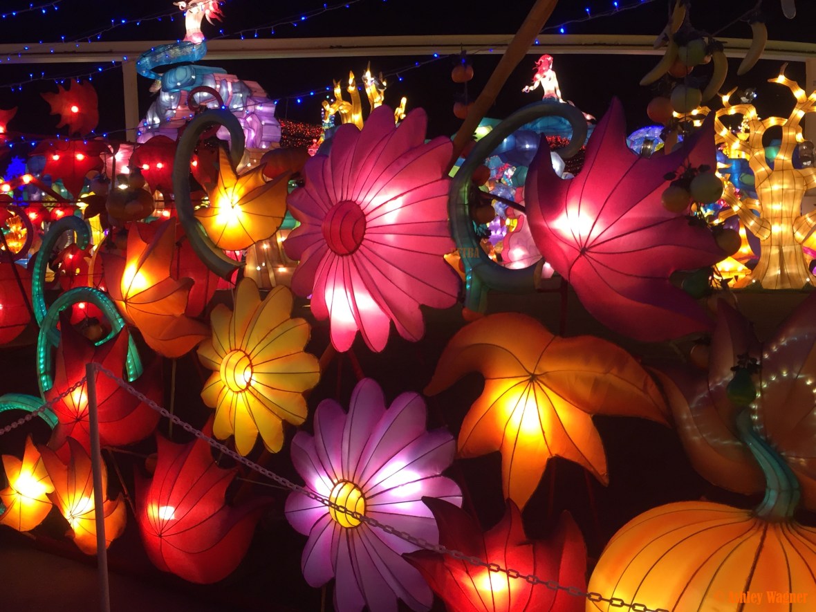 Photo Dec 23, 9 00 04 PM