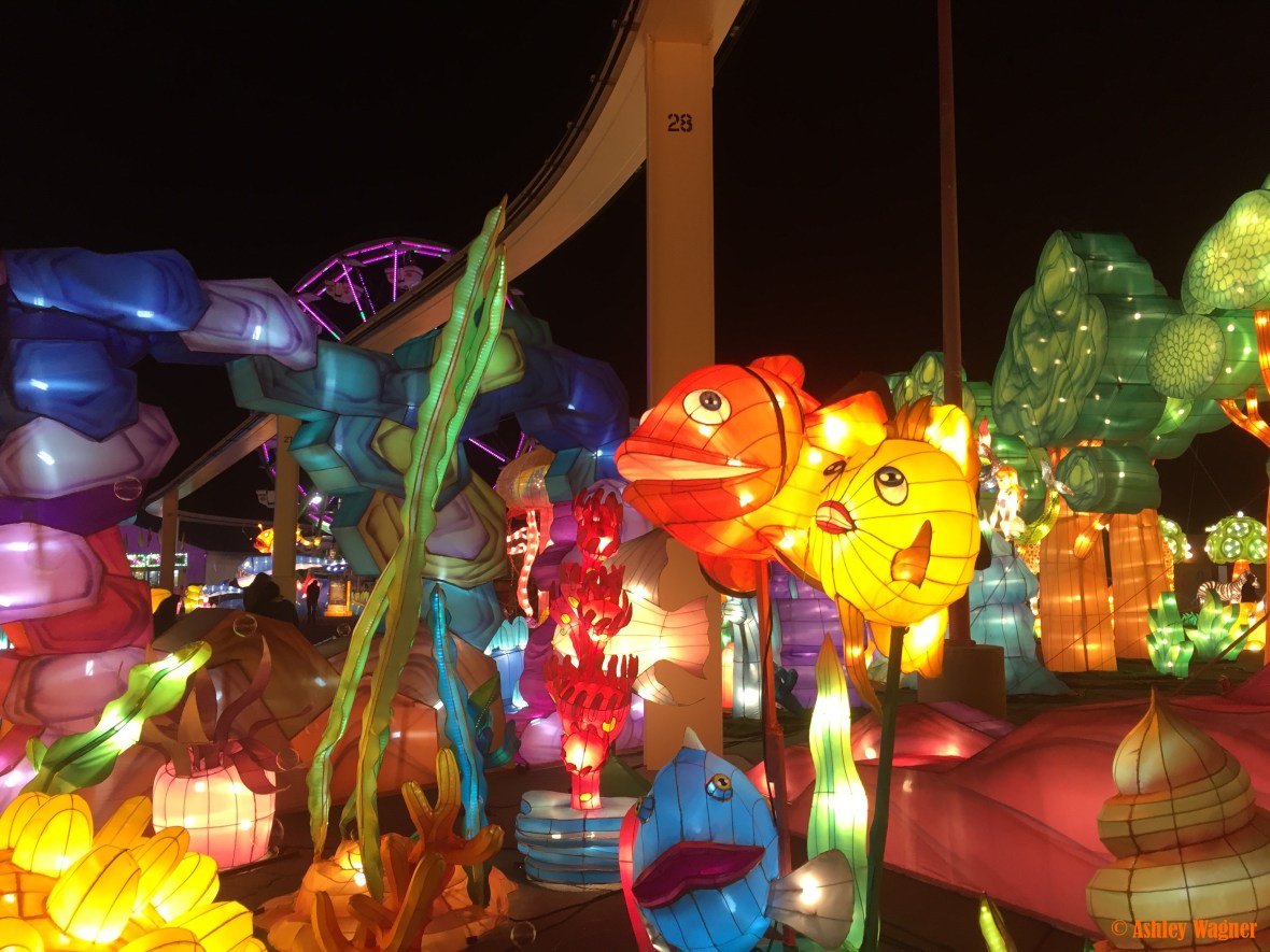 Photo Dec 23, 9 02 02 PM