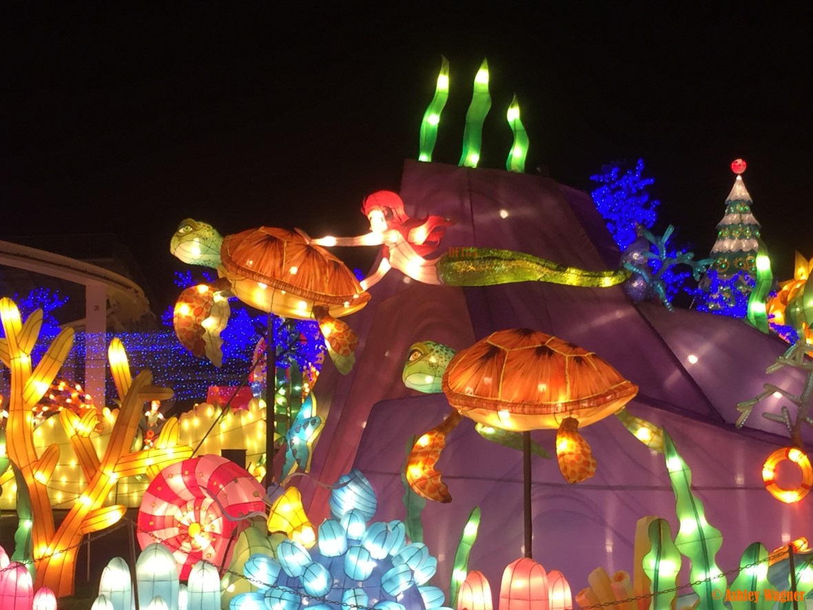 Photo Dec 23, 9 03 02 PM