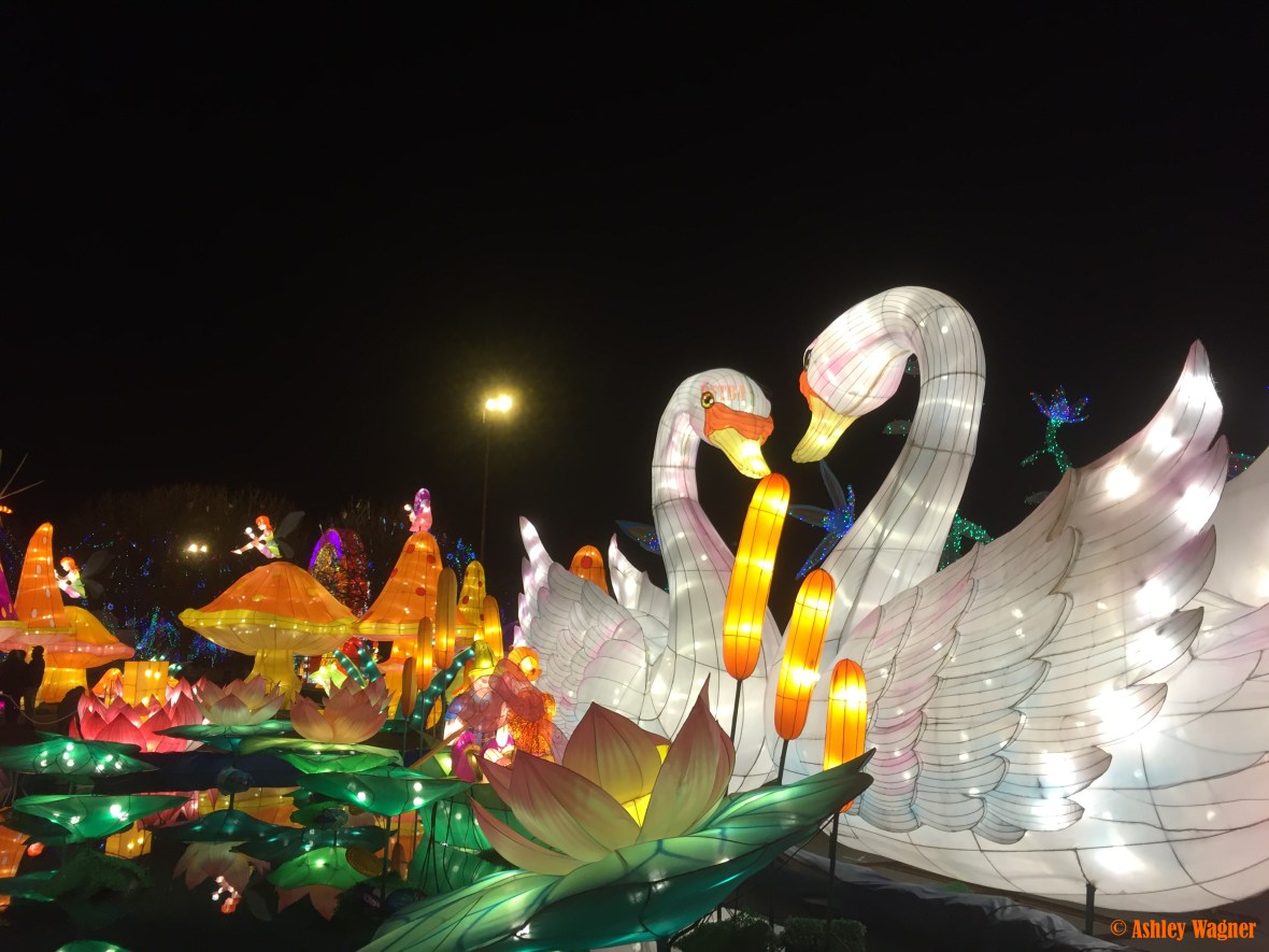 Photo Dec 23, 9 05 49 PM