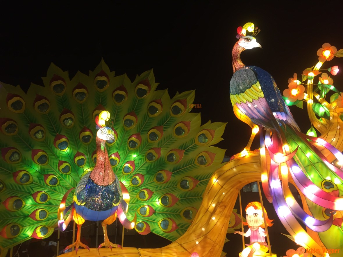 Photo Dec 23, 9 08 20 PM