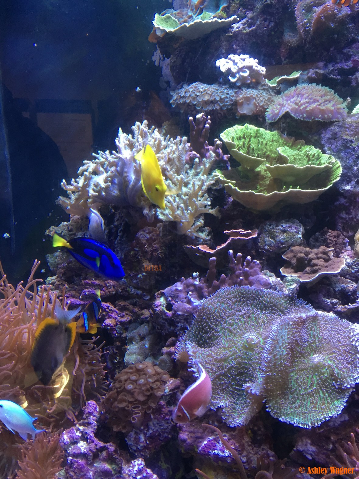 Photo Dec 26, 2 41 25 PM