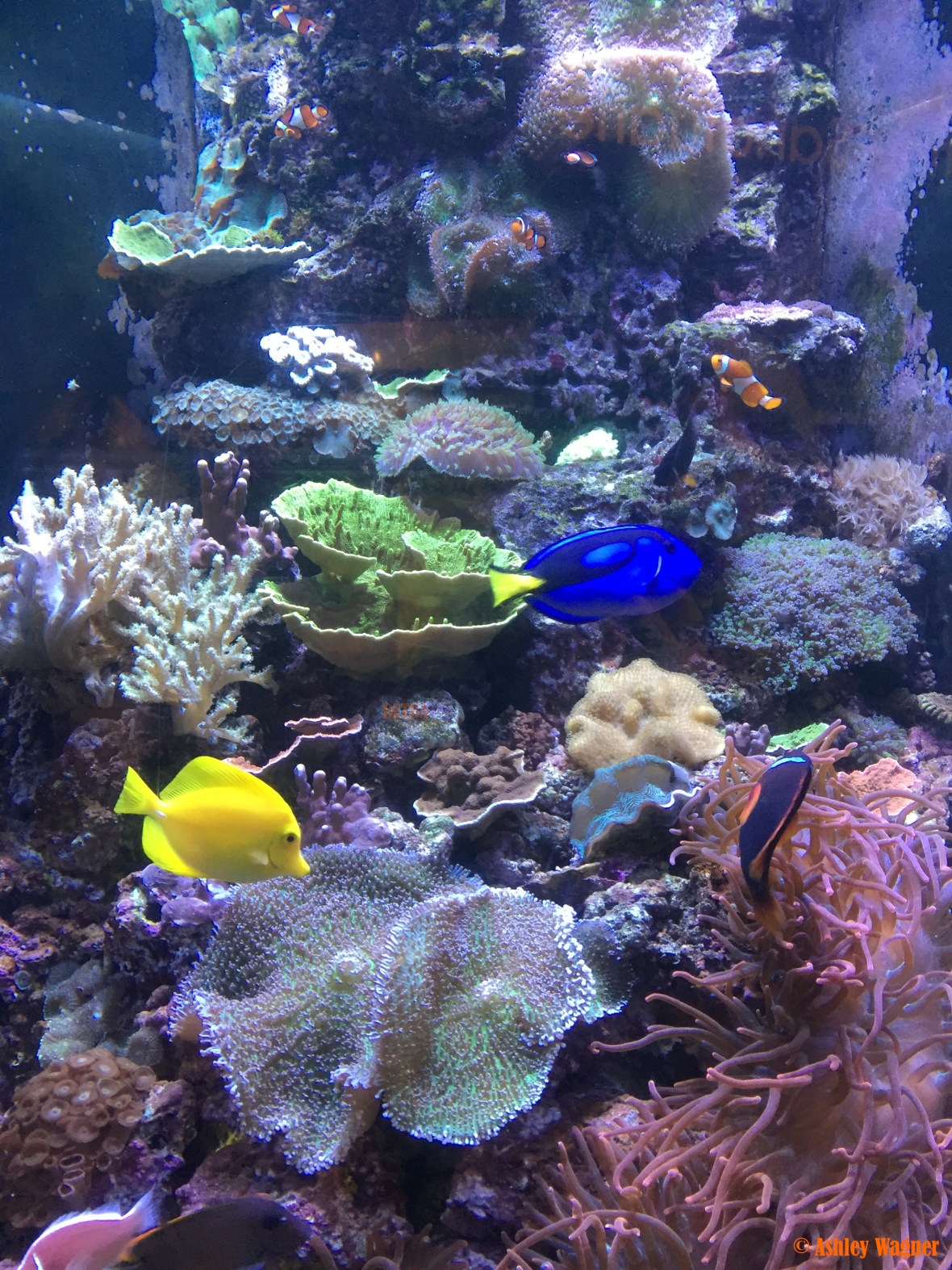 Photo Dec 26, 2 41 28 PM