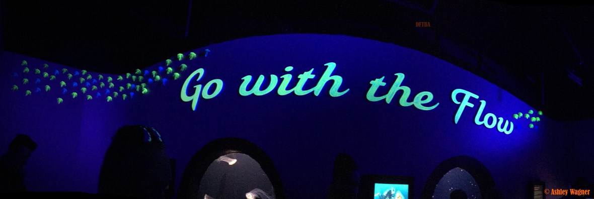 Photo Dec 26, 2 48 16 PM