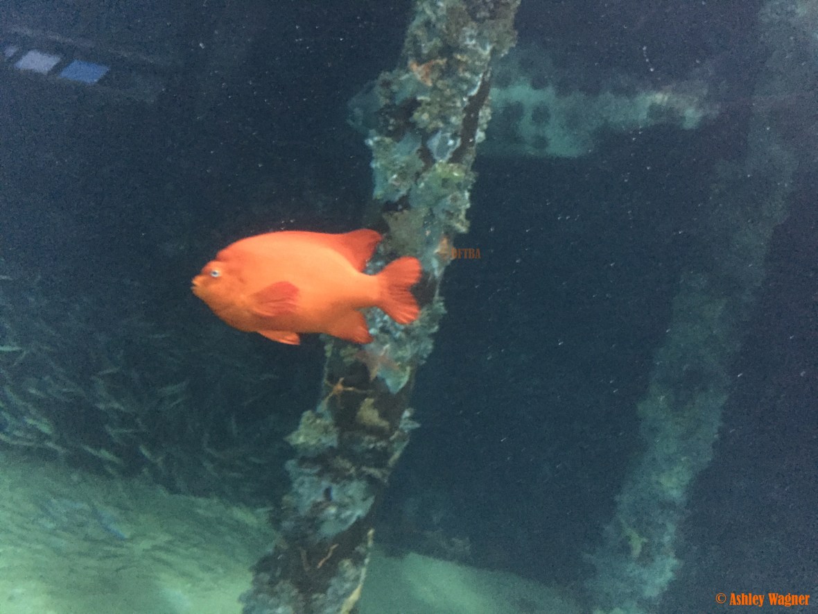 Photo Dec 26, 2 51 39 PM