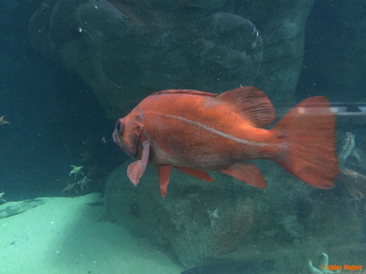 Photo Dec 26, 2 52 41 PM