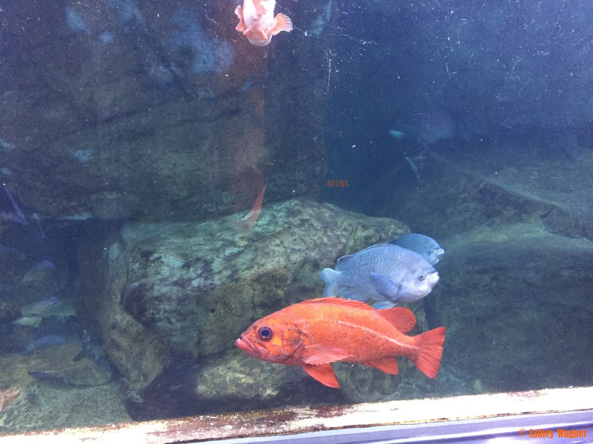 Photo Dec 26, 2 53 02 PM