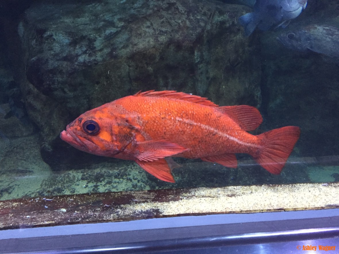 Photo Dec 26, 2 53 05 PM