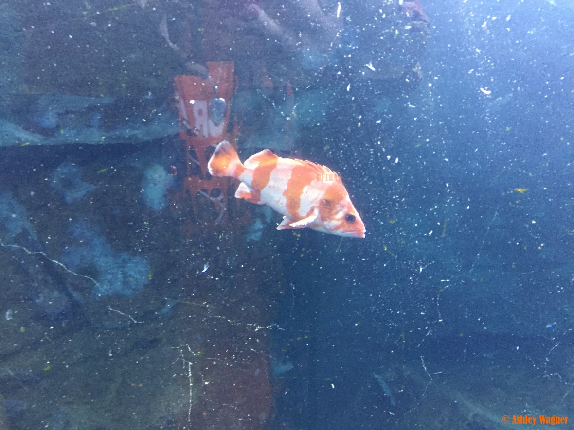 Photo Dec 26, 2 53 07 PM