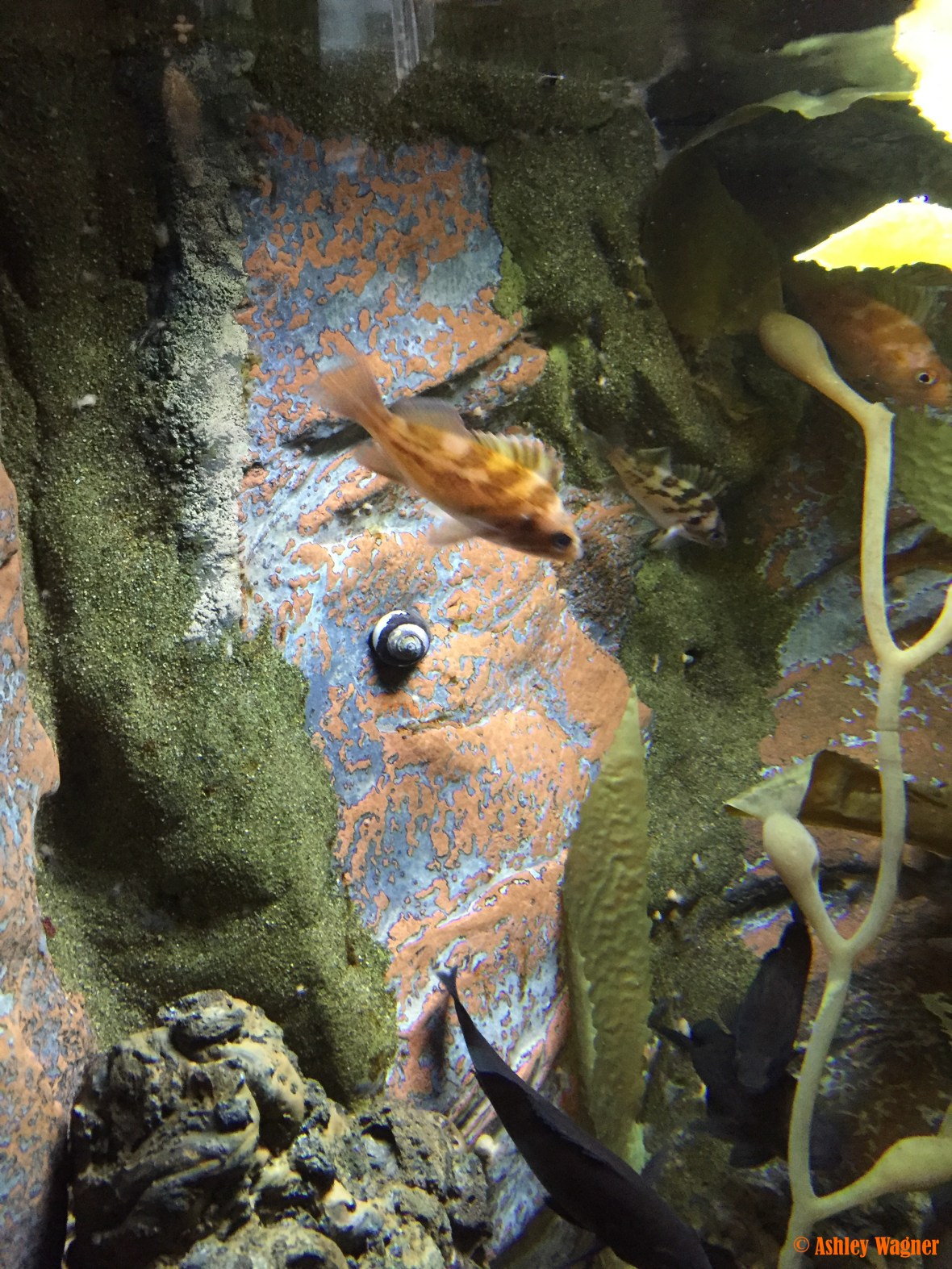 Photo Dec 26, 2 56 38 PM