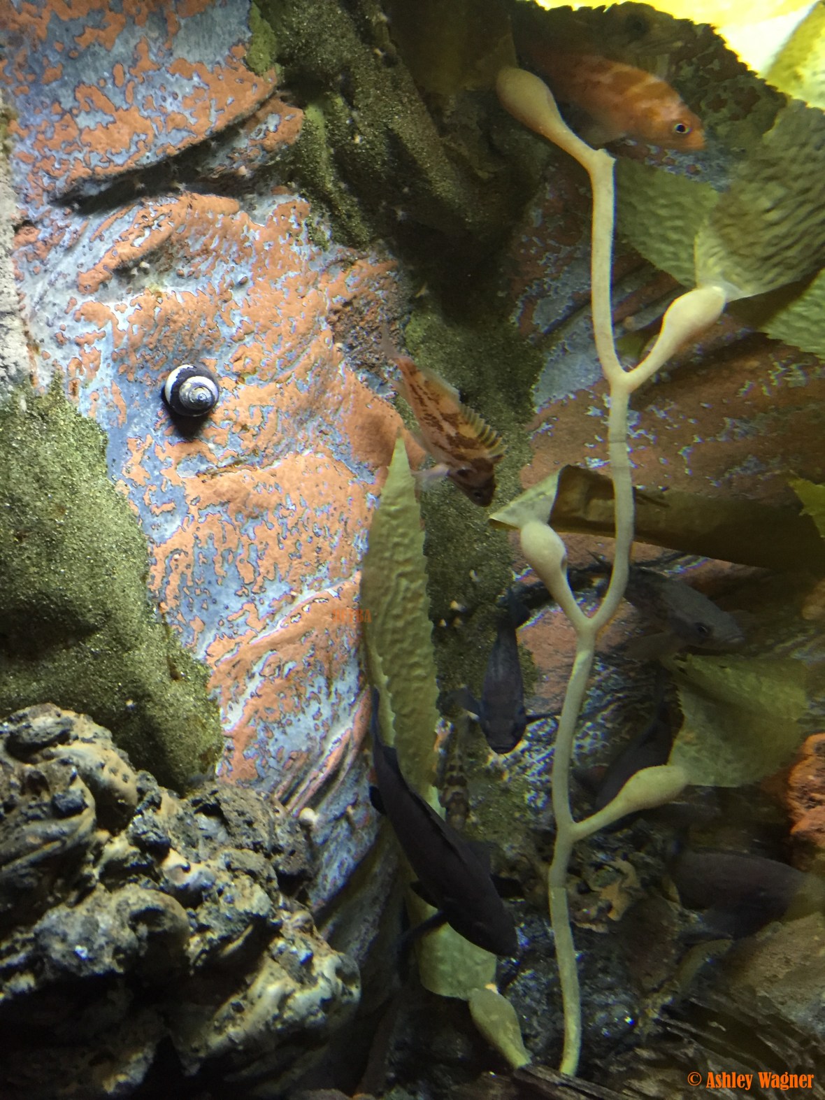 Photo Dec 26, 2 56 44 PM