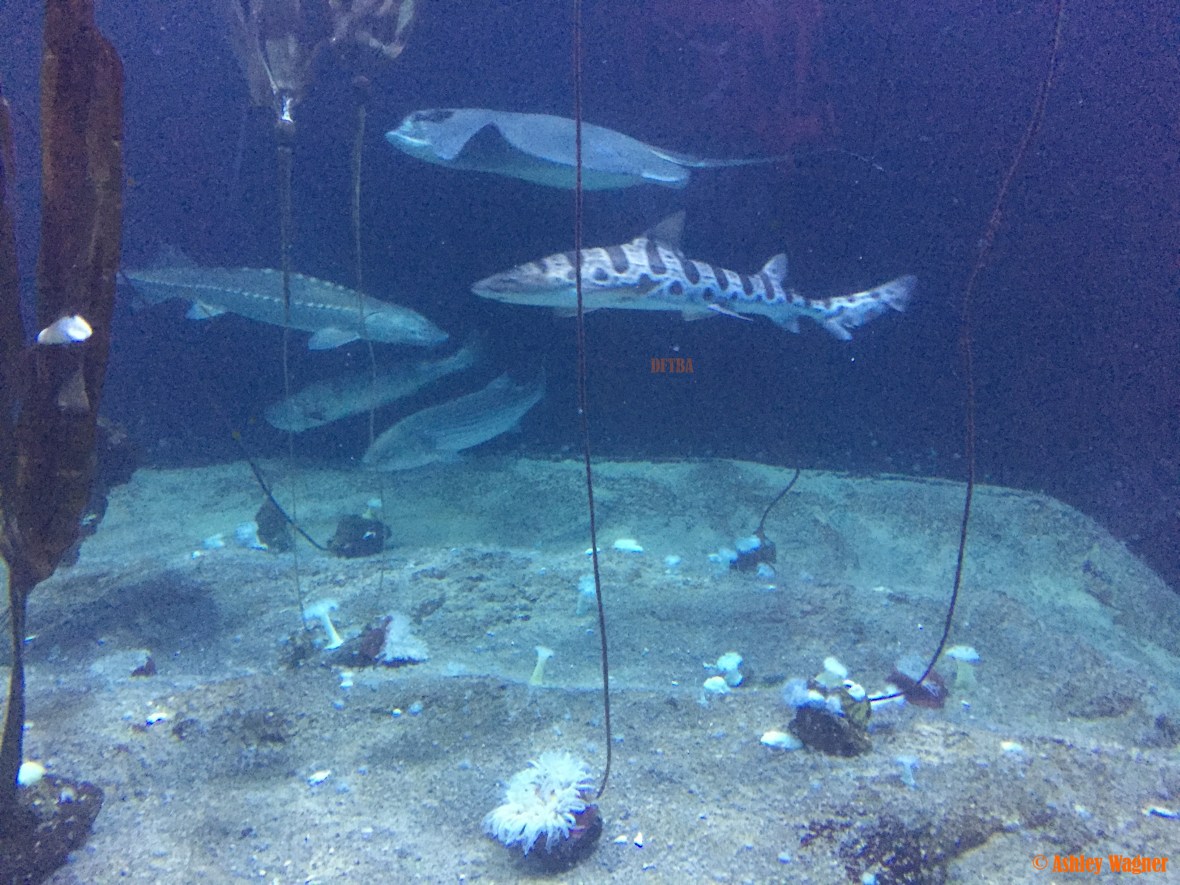 Photo Dec 26, 2 58 50 PM