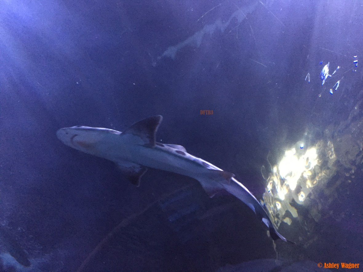 Photo Dec 26, 2 59 37 PM