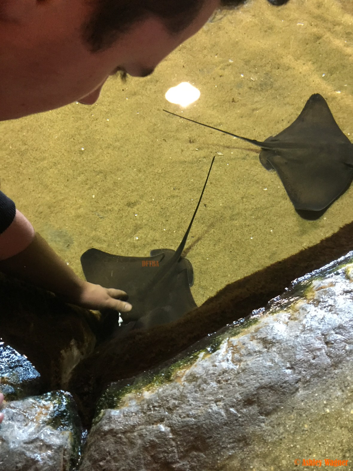 Photo Dec 26, 3 11 31 PM