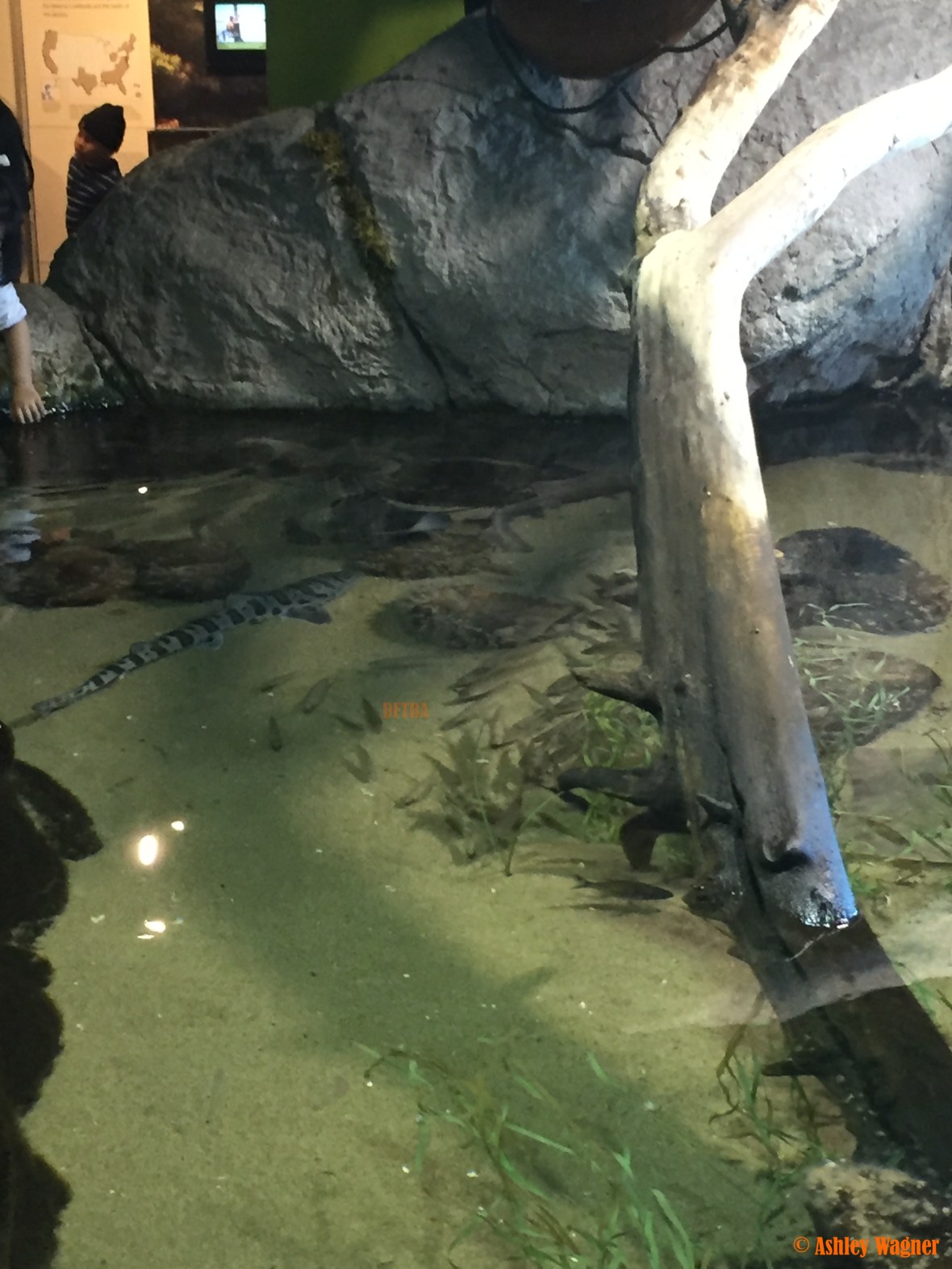 Photo Dec 26, 3 11 46 PM