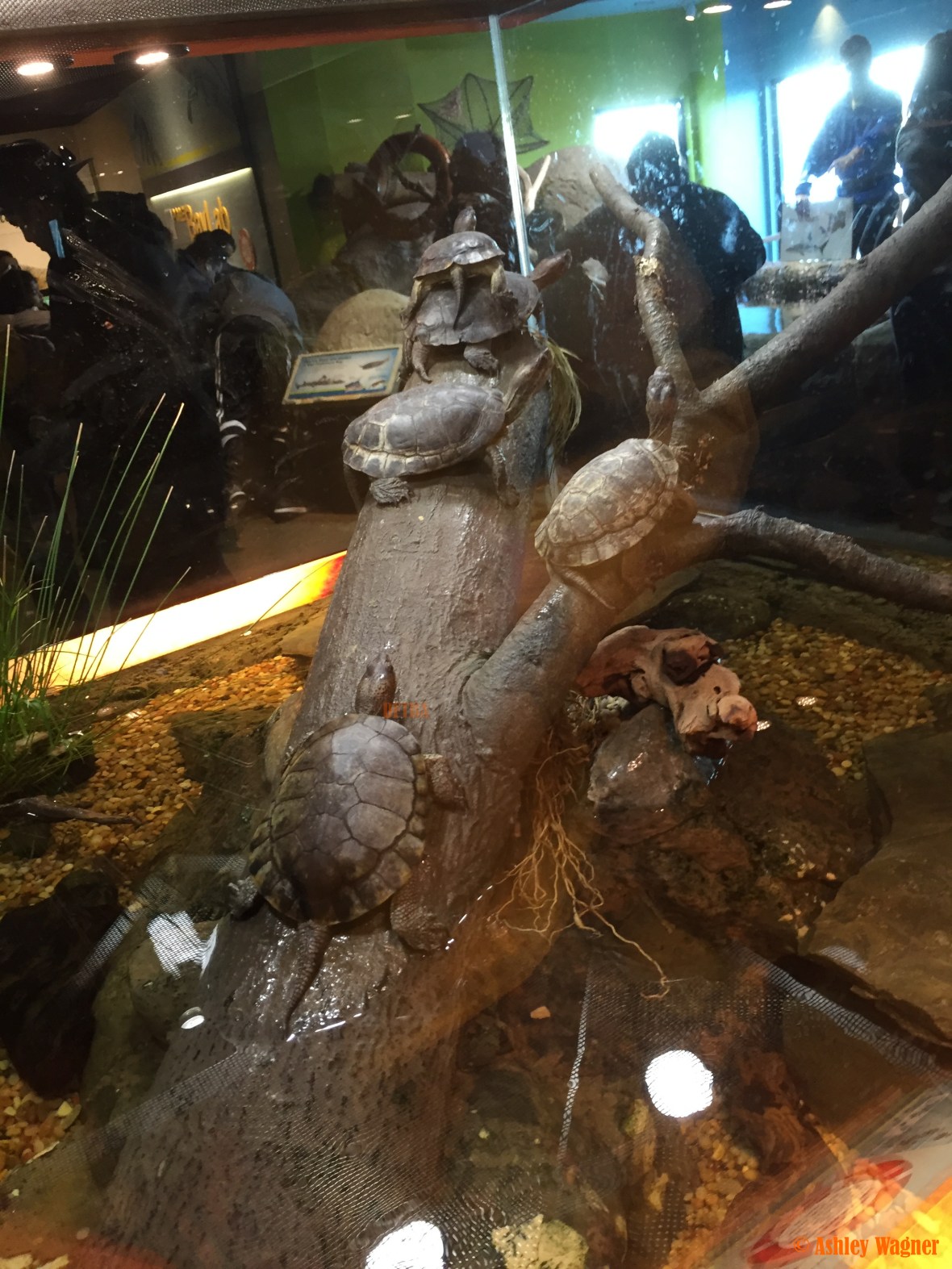 Photo Dec 26, 3 12 15 PM